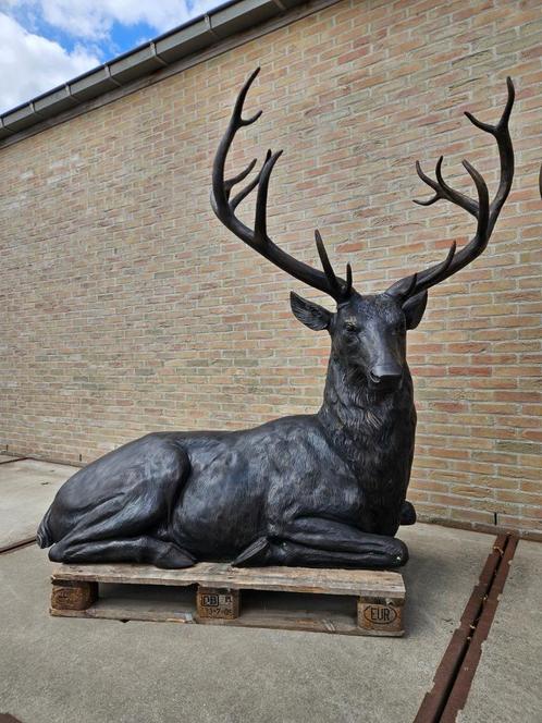 BRONZEN ZEER GROTE LIGGEND HERT(KOPPEL AANWEZIG) kom kijken!, Tuin en Terras, Tuinbeelden, Nieuw, Dierenbeeld, Overige materialen
