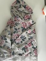Dunne hoodie 104, Enfants & Bébés, Vêtements enfant | Taille 104, Enlèvement ou Envoi, Utilisé