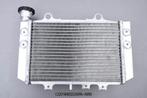 Radiateur Koeler Radiator AVDB BMW G310RR 2022 - 2025, Motoren, Ophalen of Verzenden, Nieuw
