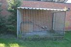 hondenren, Dieren en Toebehoren, Ophalen, Gebruikt, Hondenkennel