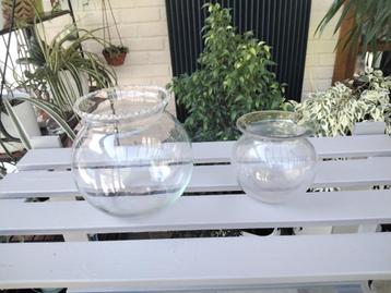 Set van 2 dikke glazen terrariums of aquaria beschikbaar voor biedingen