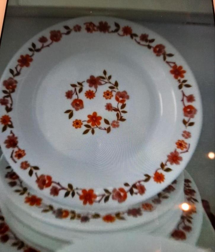 Servies van Arcopal met oranje bloemen en Scania-decor, Antiek en Kunst, Antiek | Servies los, Ophalen of Verzenden