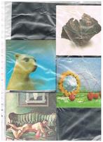 SOUS-VERRES À BIÈRE GENT, Envoi, Neuf, Sous-bock