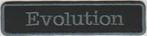 Harley Davidson Evolution stoffen opstrijk patch embleem #2, Verzenden, Nieuw