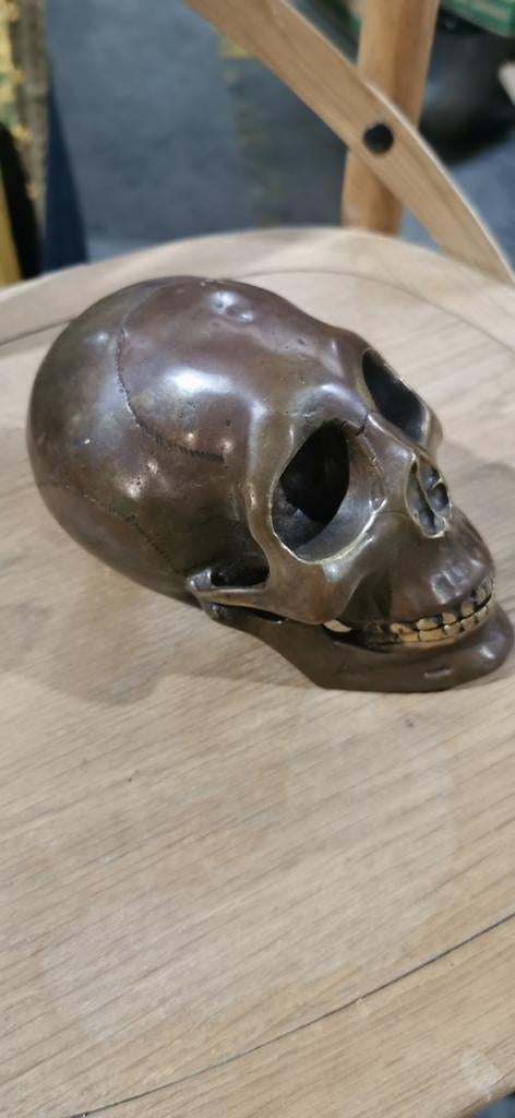 Tête de mort, Enlèvement