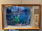 Vissen, aquarium en alle toebehoren gratis!, Ophalen, Gebruikt, Gevuld zoetwateraquarium