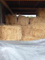 Tarwestro, Dieren en Toebehoren