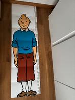 TOISE TINTIN, Enlèvement