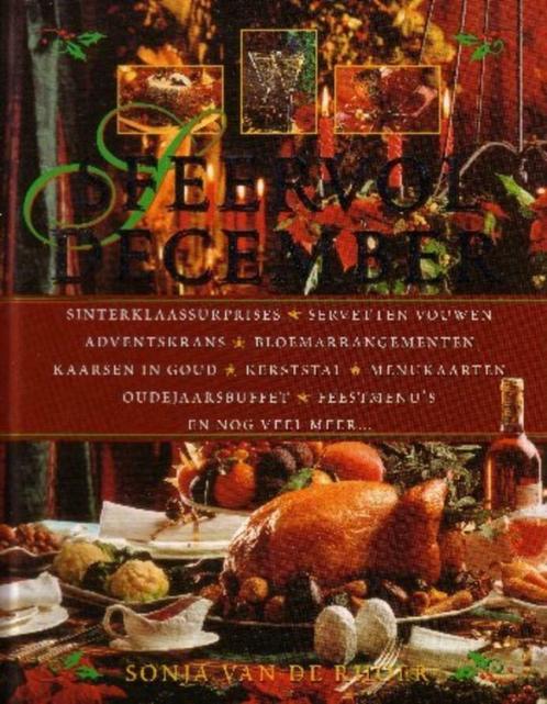 Sfeervol december - Sonja van de Rhoer, Diversen, Kerst, Zo goed als nieuw, Ophalen of Verzenden