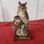 Beeltje uitljes Armani, Ophalen