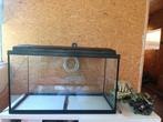Aquarium Te Koop, Dieren en Toebehoren, Vissen | Aquaria en Toebehoren, Ophalen, Zo goed als nieuw
