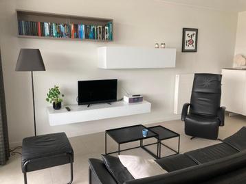 Hangkasten voor tv, boeken, dvd's,... beschikbaar voor biedingen