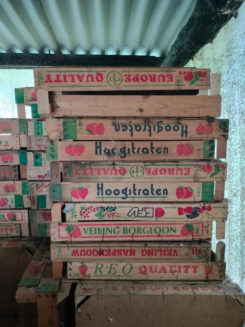 Houten bakjes kisten fruitkratten, Huis en Inrichting, Woonaccessoires | Kisten, Gebruikt, Minder dan 50 cm, Minder dan 50 cm