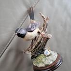 Moineau élégant sur une branche de porcelaine, Enlèvement ou Envoi