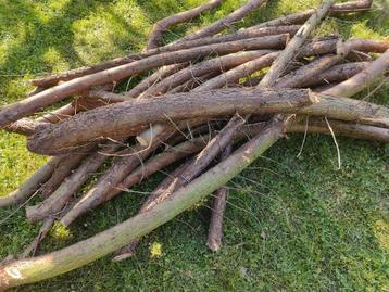 stook hout gratis gratis moet weg beschikbaar voor biedingen