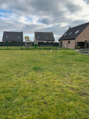 Tuinman, helper gezocht, tuin te Bray Dune, vanaf Aug25 beschikbaar voor biedingen
