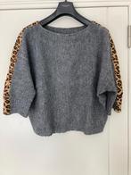 Mooie grijze wijde trui. Zeer goede staat, Ophalen of Verzenden, Zo goed als nieuw, Maat 38/40 (M), Grijs