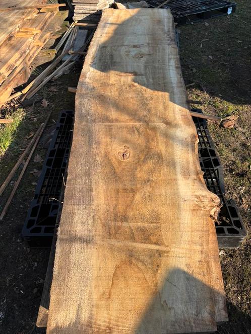 Boomstamblad, schaaldeel (boomstamtafel) 373cm, Doe-het-zelf en Bouw, Hout en Planken, Nieuw, Plank, Overige houtsoorten, 300 cm of meer
