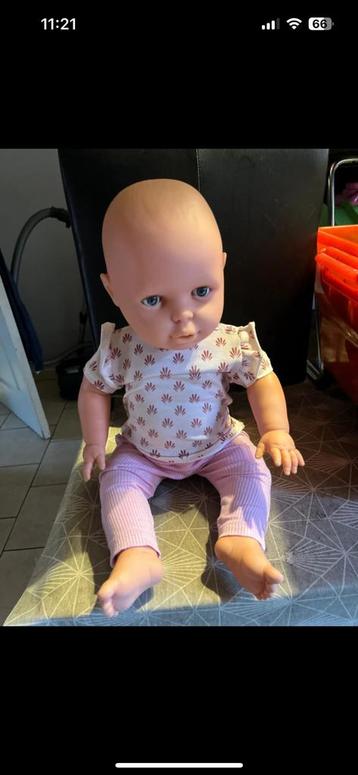baby pop / paspop beschikbaar voor biedingen