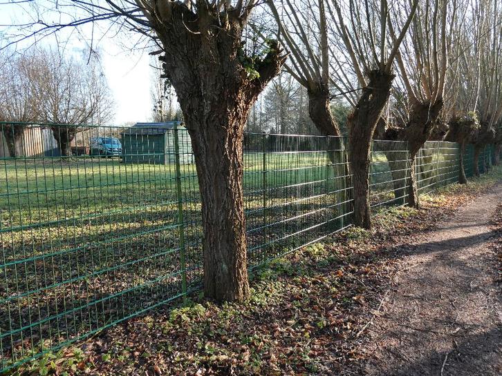 TUINHEK, Jardin & Terrasse, Clôtures de jardin, Utilisé, Porte du jardin, Fer, Enlèvement