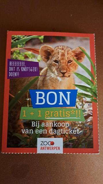 Bon Zoo d'Anvers et Zoo de Planckendael