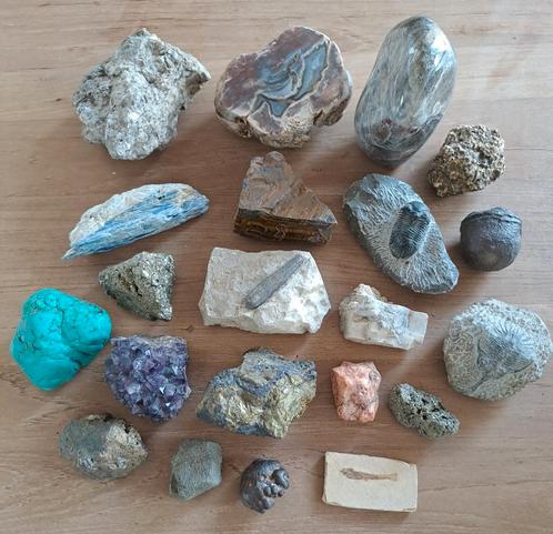 Fossielen en mineralen collectie., Verzamelen, Mineralen en Fossielen, Ophalen