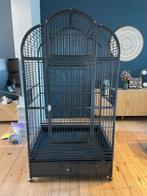 Cage perroquet, Animaux & Accessoires, Oiseaux | Cages & Volières, Enlèvement, Utilisé, Métal, Volière