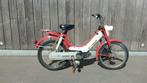 Honda Camino. 1977, Ophalen, Honda, Honda@eu.be, Aalst