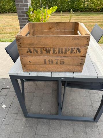 Oude kist. Fietsbak. beschikbaar voor biedingen