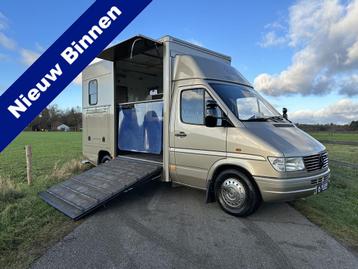 Mercedes-Benz Sprinter 2-paards paardenvrachtwagen Automaat  beschikbaar voor biedingen