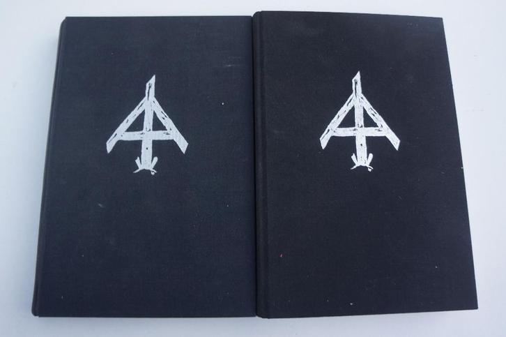 vlamingen aan het oostfront, Boeken, Oorlog en Militair, Zo goed als nieuw, Ophalen of Verzenden