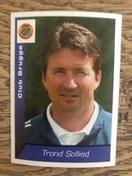 Trond SOLLIED (Club Brugge) Voetbal België 2003 nº61., Verzamelen, Nieuw, Spelerskaart, Ophalen of Verzenden