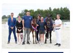 Top veulens beschikbaar kampioen kwpn 2025, Dieren en Toebehoren, Paarden, Gechipt, Niet van toepassing, Dressuurpaard, 0 tot 2 jaar