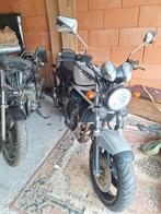 Suzuki bandit, Motoren, Motoren | Suzuki, Particulier