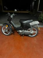Honda Wallaroo Classe A, Autres modèles, 1 vitesses, 49 cm³, Enlèvement