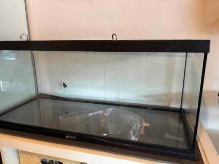 Zoomed Repti Habitat waterschilpadden, Dieren en Toebehoren, Reptielen en Amfibieën | Toebehoren, Zo goed als nieuw, Ophalen