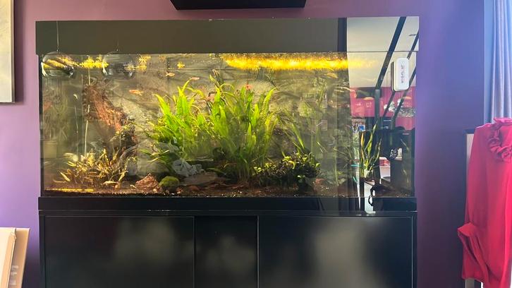 Aquarium 120 cm breed, Dieren en Toebehoren, Vissen | Aquaria en Toebehoren, Gebruikt, Gevuld zoetwateraquarium, Ophalen