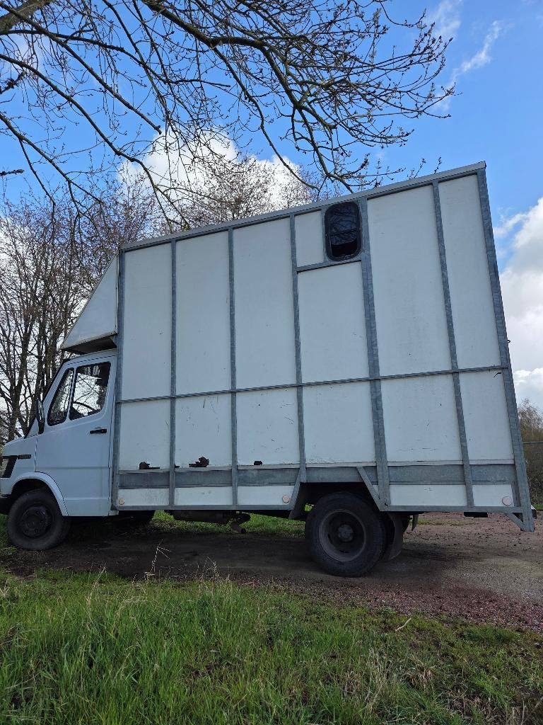 Camion chevaux, Autos, Camions, Particulier, Mercedes-Benz, Diesel, 2 portes, Boîte manuelle, Blanc, Noir, Tissu, Enlèvement