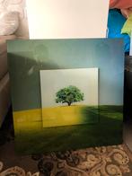 Foto kunstwerk, Maison & Meubles, Accessoires pour la Maison | Miroirs, Moins de 100 cm, Carré, Enlèvement, Utilisé