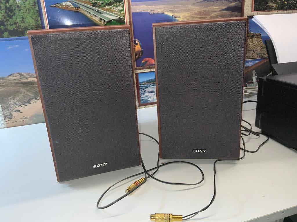 ENCEINTES SONY SS-CSPZ70 2 VOIES POUR MICRO-CHAINES SONY, TV, Hi-fi & Vidéo, Enceintes, Enlèvement, Comme neuf, Sony