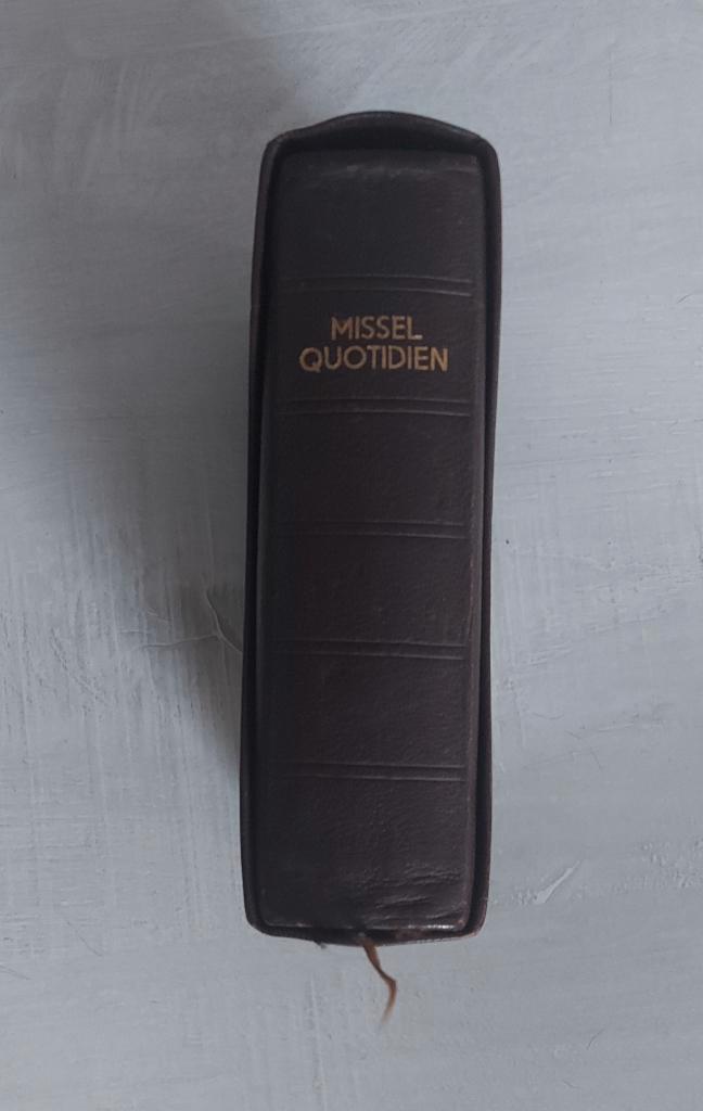 Dagmissaal, Boeken, Godsdienst en Theologie, Gelezen, Christendom | Katholiek, Ophalen