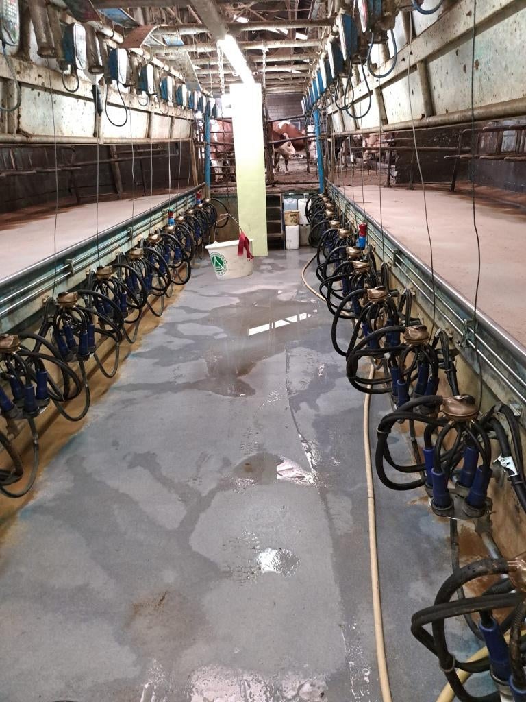 melkmachine, Ophalen, Veehouderij, Melktechniek