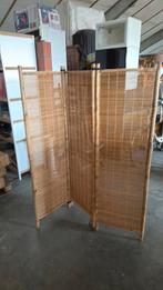 Paravanr, Enlèvement