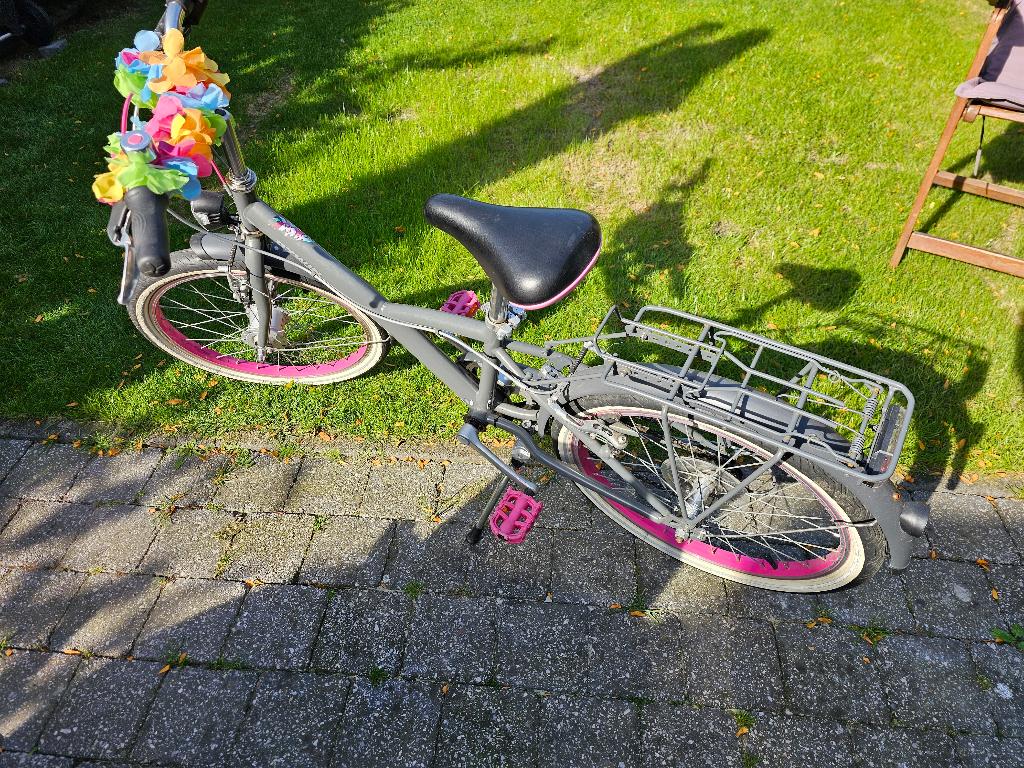 Meisjesfiets BTWIN 20 inch, Vélos & Vélomoteurs, Vélos | Filles, Enlèvement, 20 pouces, Btwin Decathlon, Vitesses