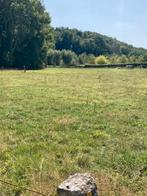 Weide te koop te Gooik - vrij van pacht (63 are), Gooik, Verkoop zonder makelaar, 1500 m² of meer