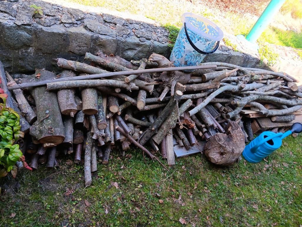 gratis Brandhout gratis, Ophalen