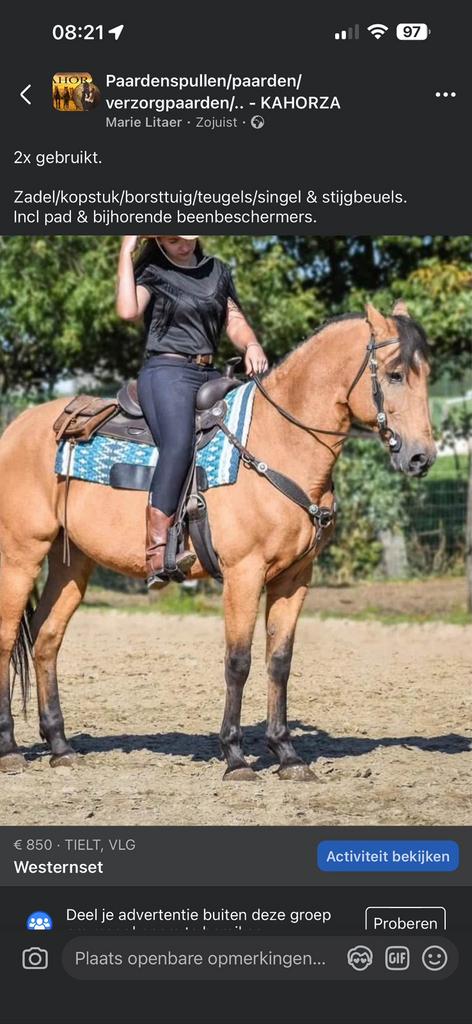 Westernset, Dieren en Toebehoren, Ophalen, Zo goed als nieuw
