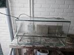 Terrarium 754040cm, Animaux & Accessoires