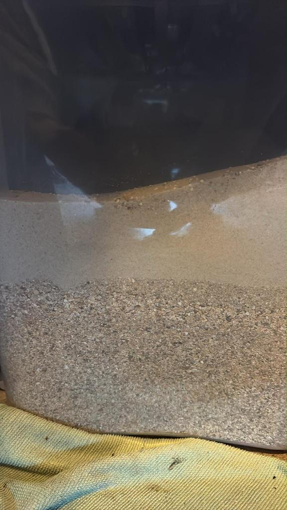 Sable de fond de cage oiseaux, Enlèvement