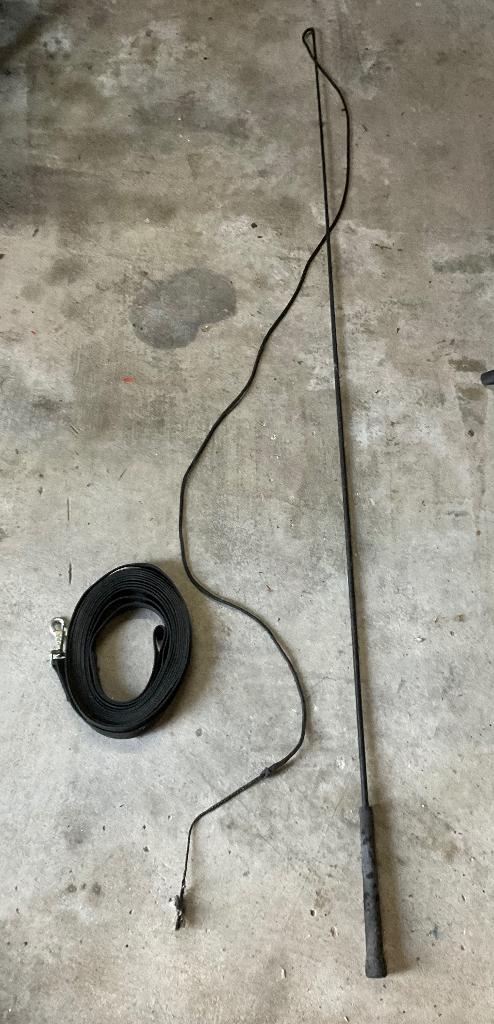 Longeerset paard: longeerlijn + longeerzweep, Ophalen, Gebruikt, Overige soorten